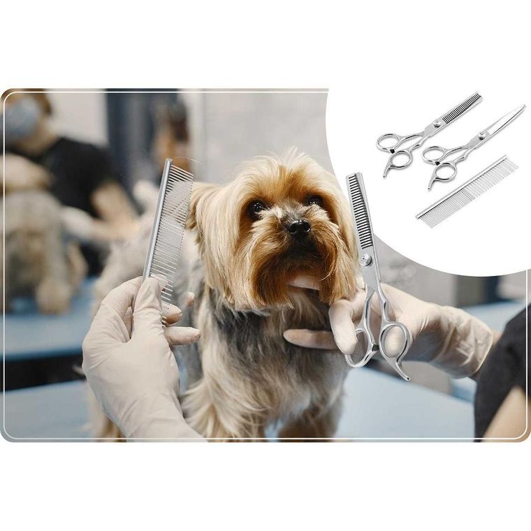 Pethaus, maszynka do strzyżenia zwierząt, różowa