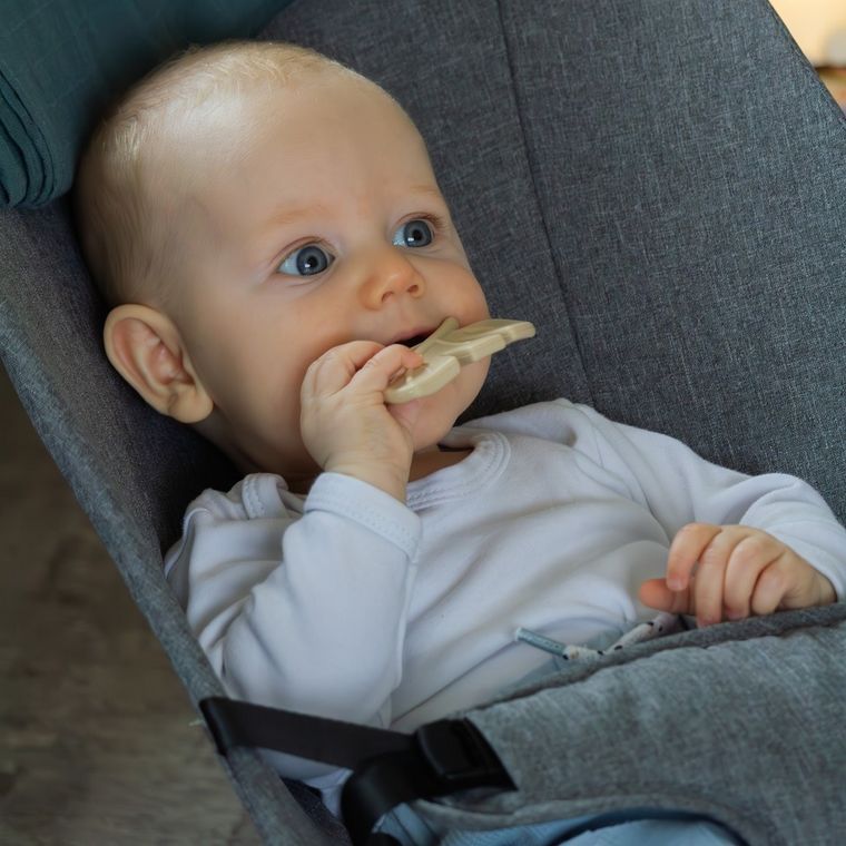 Petite&Mars, Take&Match, silikonowy gryzak, Desert Sand, 6m+