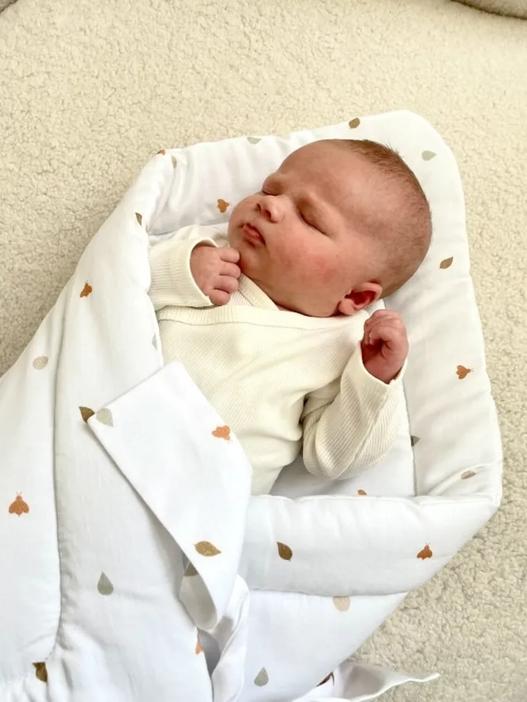 Piapimo, Foresta, Las, rożek bawełniany