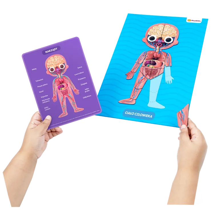 Playshifu, My Super Human Body, Ciało Człowieka, edukacyjne puzzle magnetyczne, 90 elementów