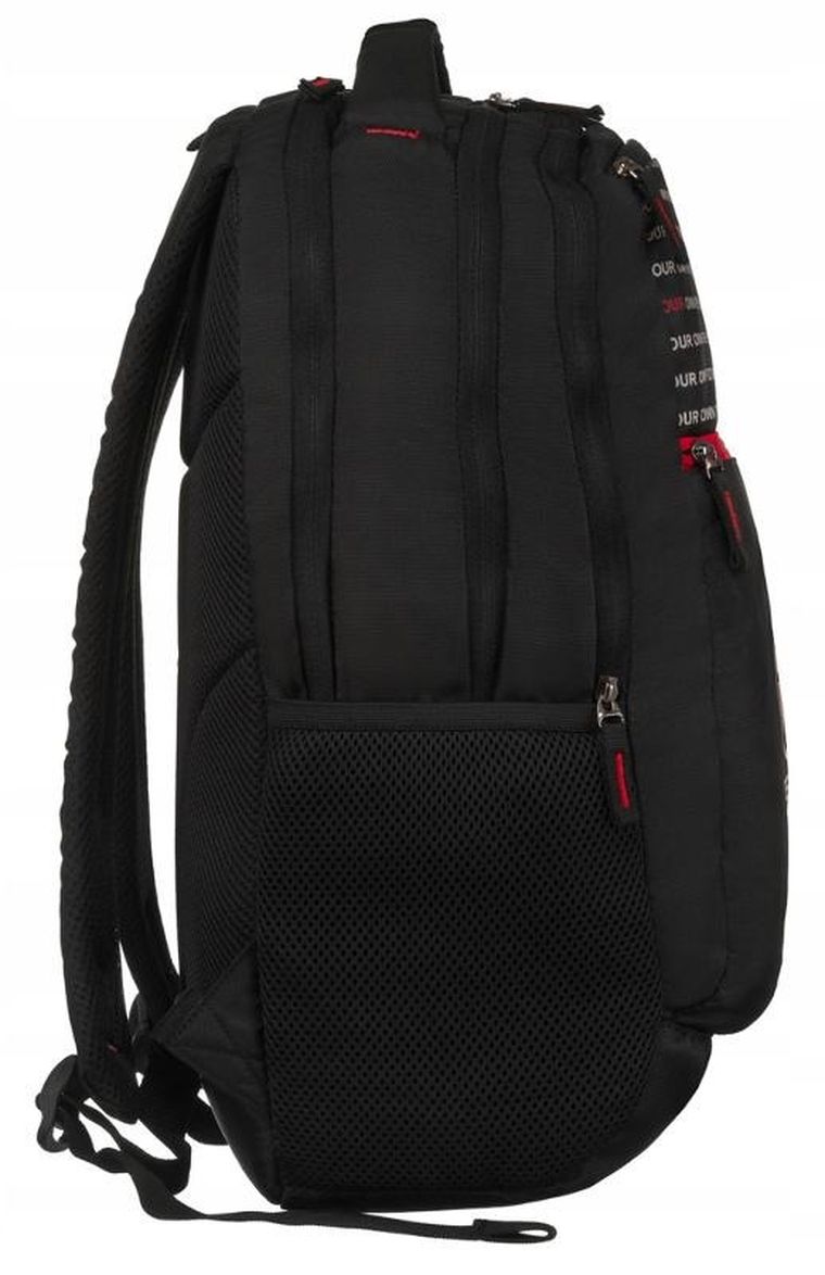 Plecak sportowy, Peterson