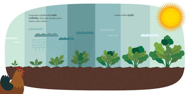 Podróż Pana Brokuła