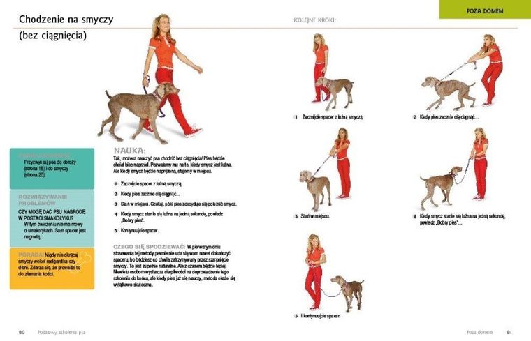 Podstawy szkolenia psa