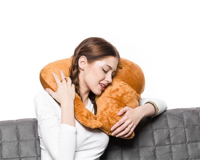 Poduszka, przyjaciel