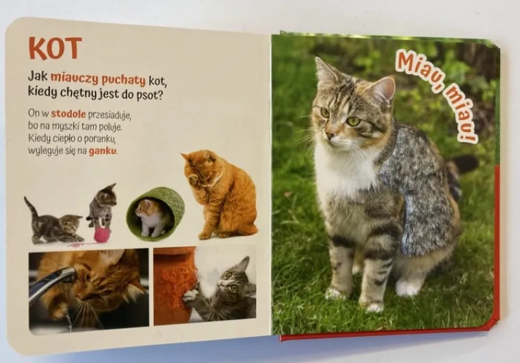 Pogłaszcz wiejskie zwierzątko