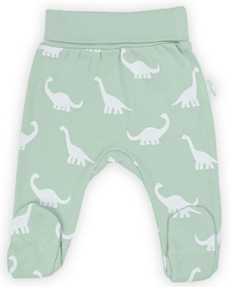 Półśpiochy chłopięce, miętowe, Nicol