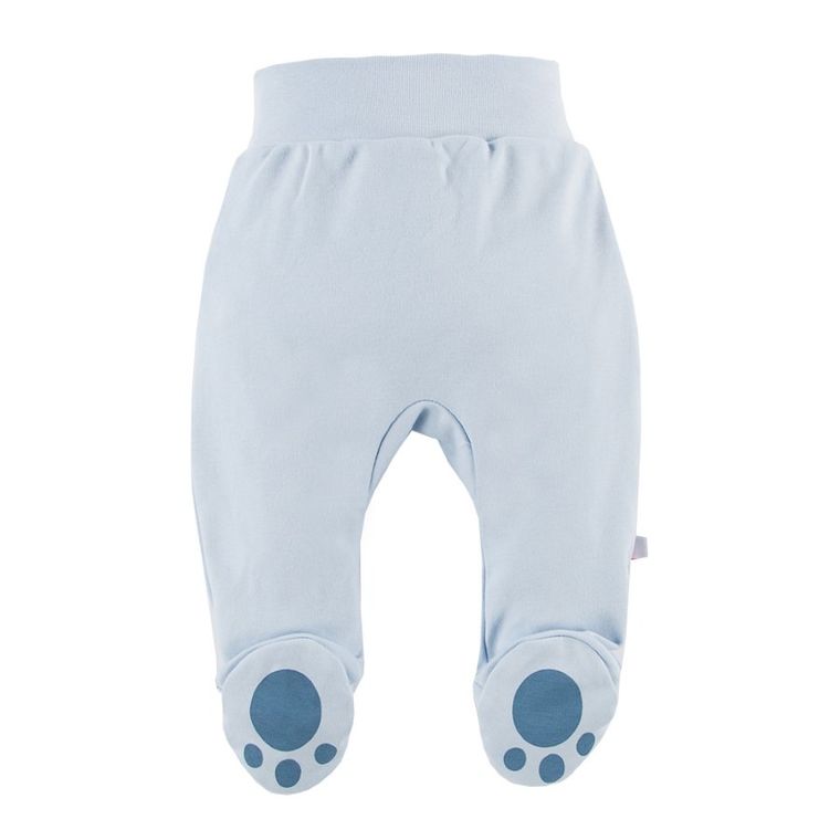 Półśpiochy chłopięce, niebieskie, Big Bear, Eevi