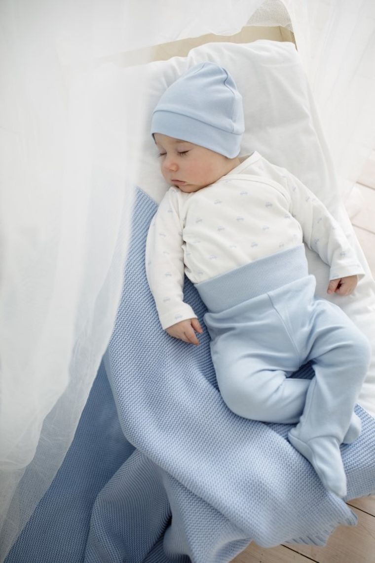 Półśpiochy chłopięce, niebieskie, Pinokio