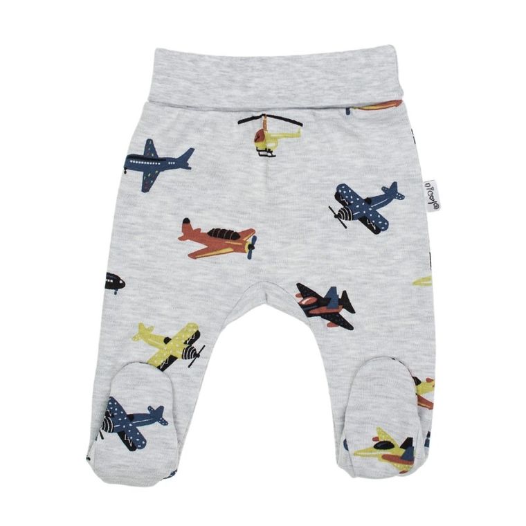 Półśpiochy chłopięce, szare, Nicol