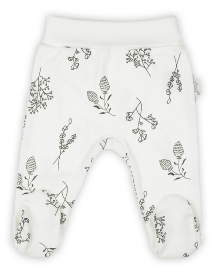 Półśpiochy dziewczęce, ecru, Nicol