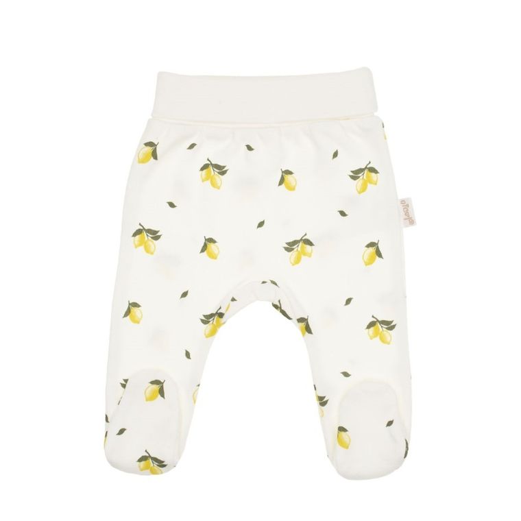 Półśpiochy dziewczęce, ecru, Nicol