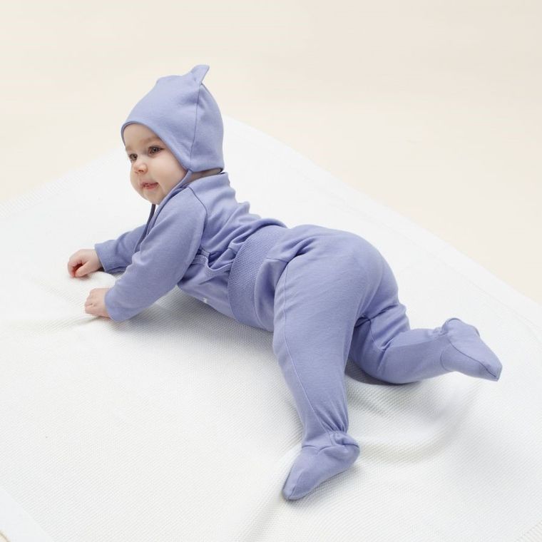 Półśpiochy dziewczęce, fioletowe, Pinokio