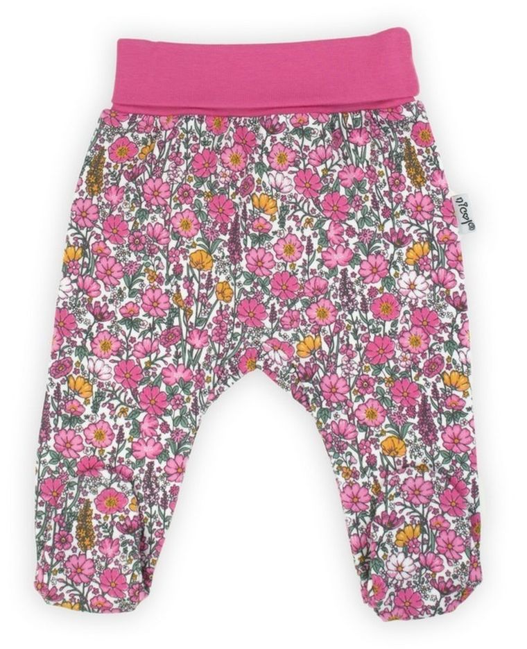 Półśpiochy dziewczęce, różowe, Nicol