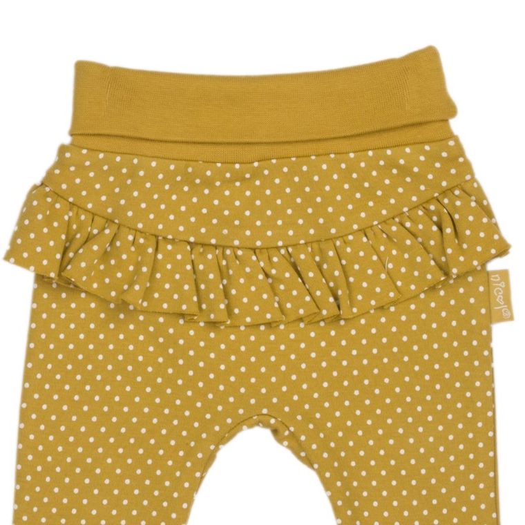 Półśpiochy dziewczęce, żółte, Nicol