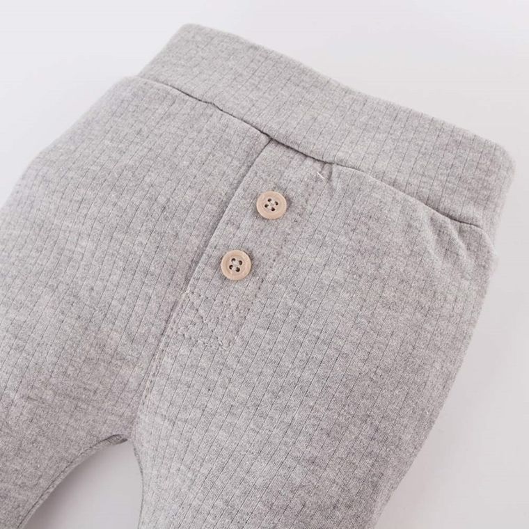 Półśpiochy niemowlęce, szare, Eevi