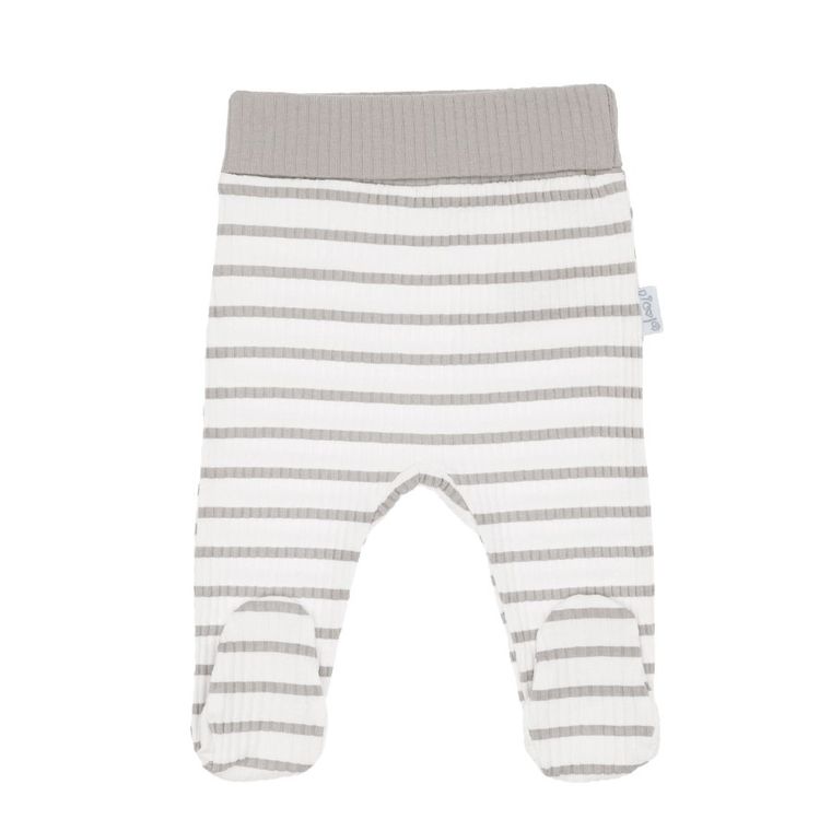 Półśpiochy niemowlęce, szare, Nicol