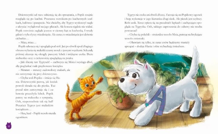 Popik i jego wielkie przygody