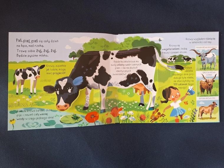 Pracowity dzień na wsi. Hop! Rozkładanka