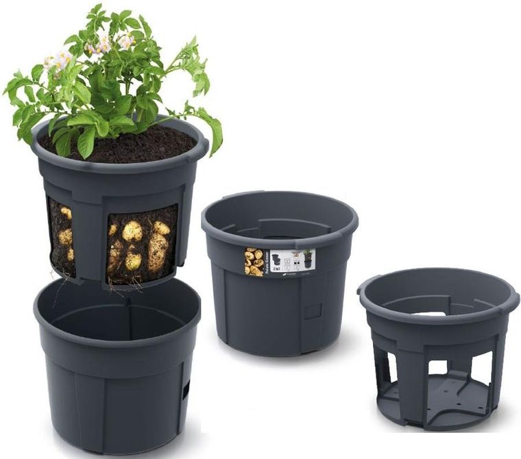 Prosperplast, doniczka do sadzenia ziemniaków, 39,2 cm