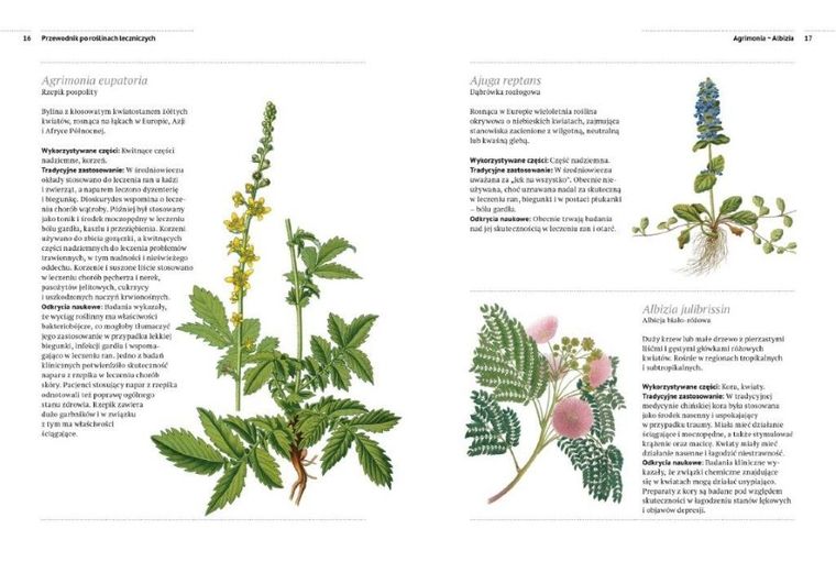 Przewodnik po roślinach leczniczych. Rośliny lecznicze i domowe sposoby leczenia od A do Z