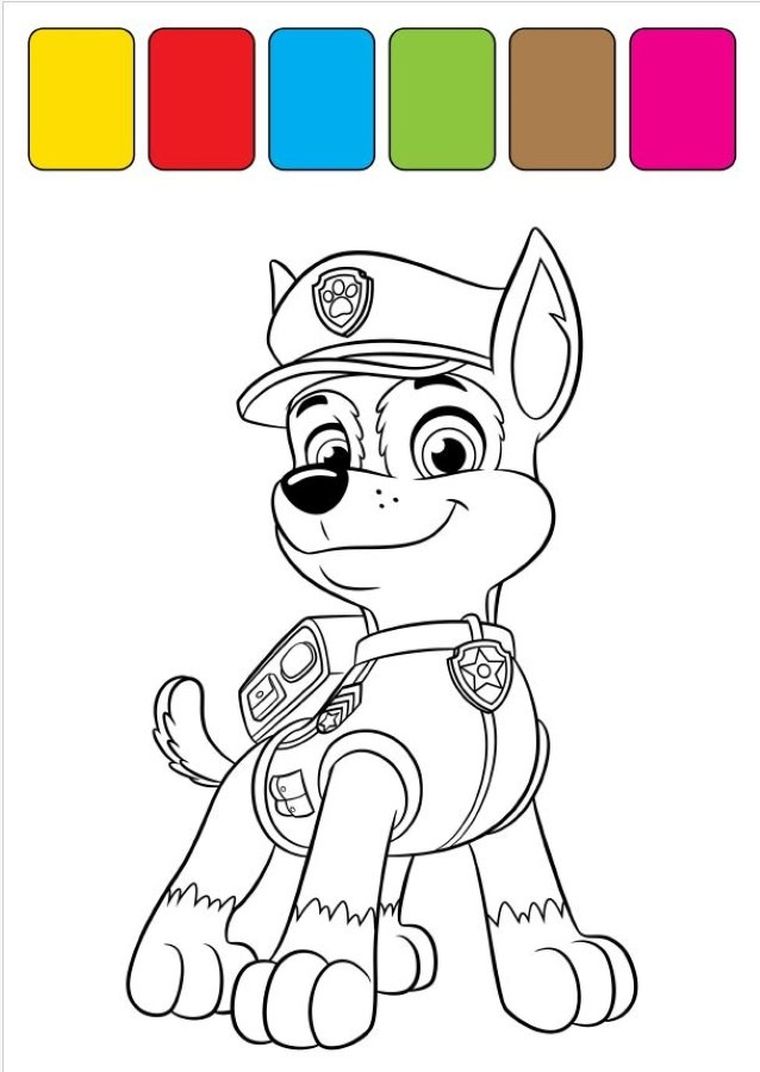 Psi Patrol. W zatoce przygód. Jak malowane