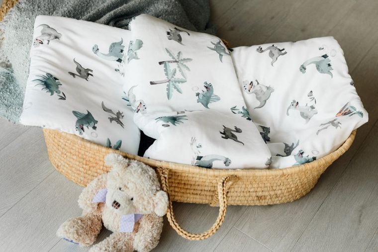 Pulp, Bamboo, Świat Dinozaurów, 2-częściowy komplet pościeli z wypełnieniem, bambusowy, 80-100 cm