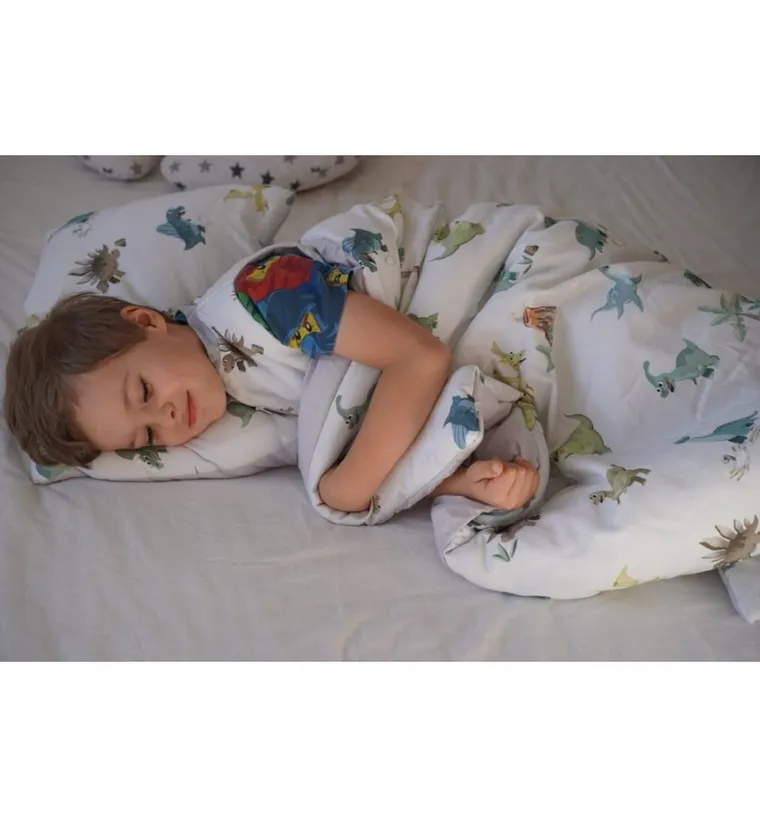 Pulp, Dinozaury, 2-częściowy komplet pościeli, bawełna satynowa, 100-135 cm