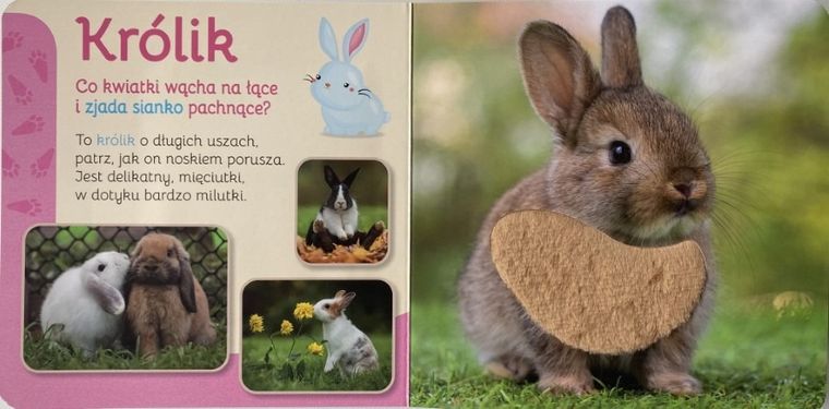 Pupile. Przytul mnie