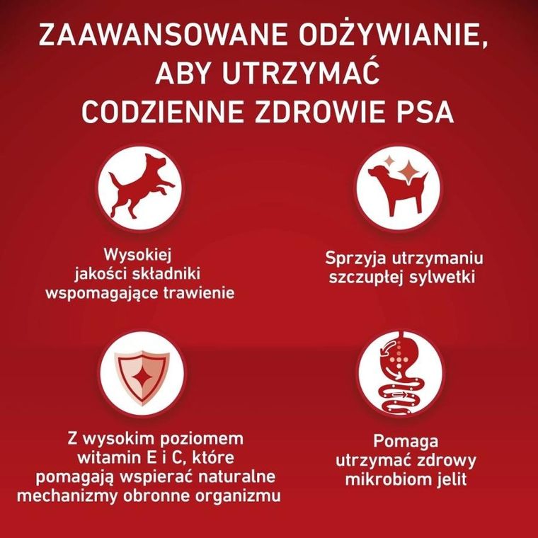 Purina, One, Adult, Turkey & Rice, karma sucha dla psów ras średnich i dużych, 2,5 kg