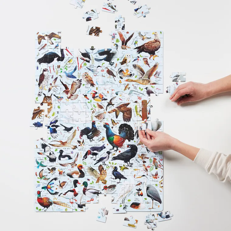 Puzzlove, CzuCzu, Ptaki Polski, puzzle, 200 elementów