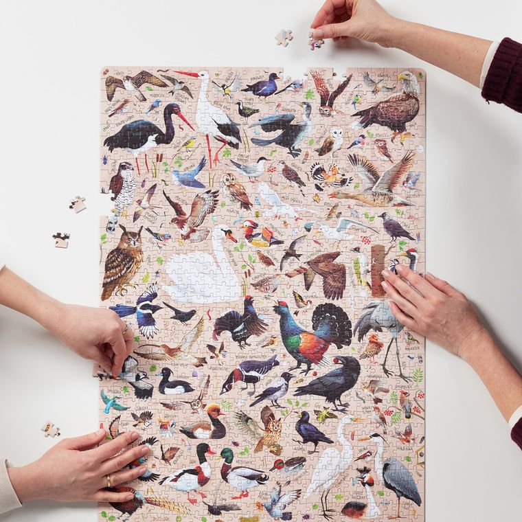 Puzzlove, CzuCzu, Ptaki, puzzle, 1000 elementów