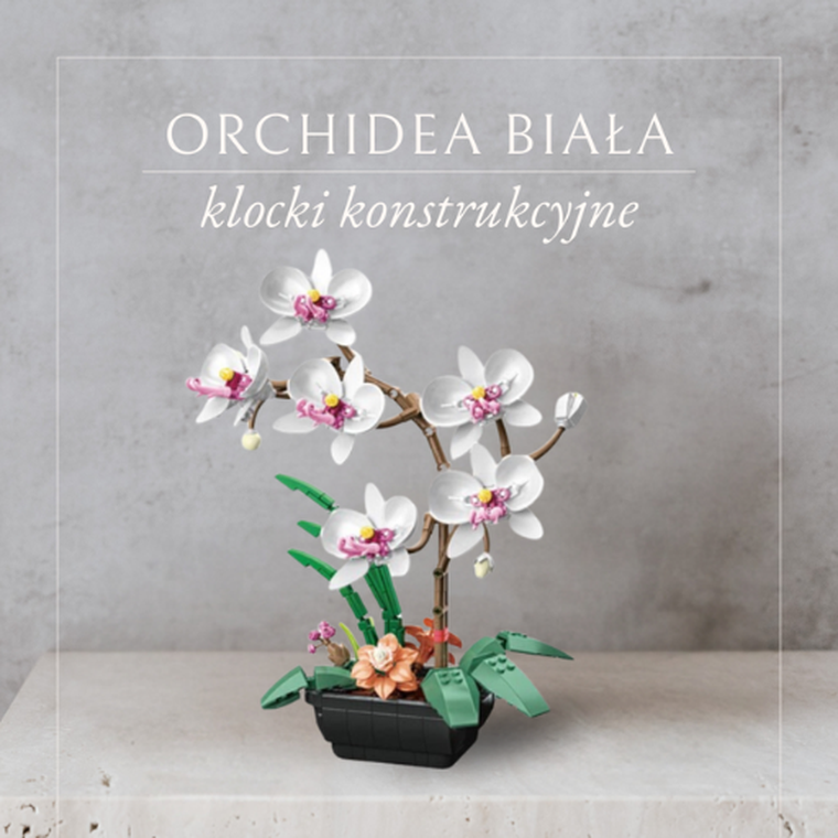 QBI, Orchidea biała, klocki konstrukcyjne, 581 elementów