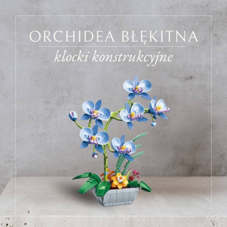 QBI, Orchidea błękitna, klocki konstrukcyjne, 581 elementów