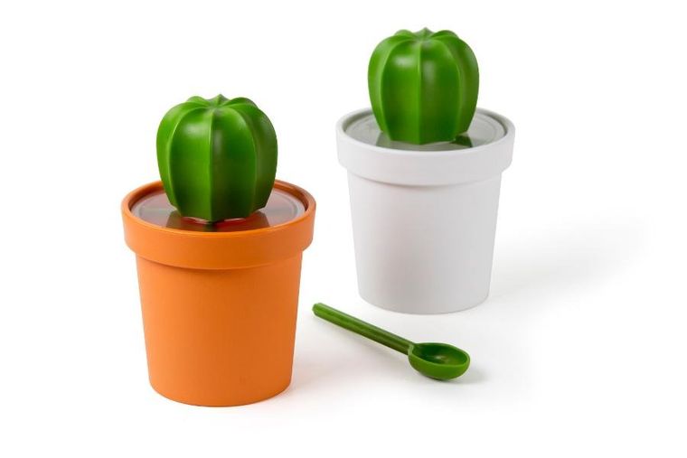 Qualy, Cacnister, pojemnik z łyżeczką na kawę, kaktus, biało-zielony