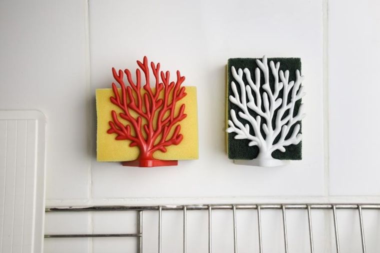 Qualy, Coral, uchwyt na gąbkę