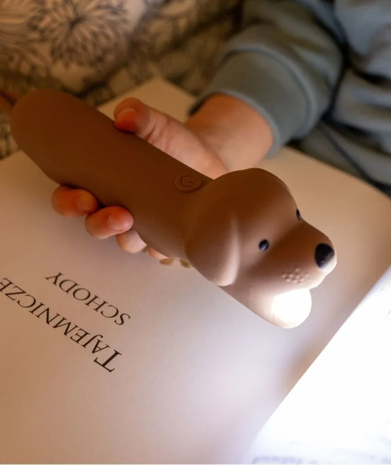 Rabbit & Friends, bezpieczna latarka, Pies Buddy