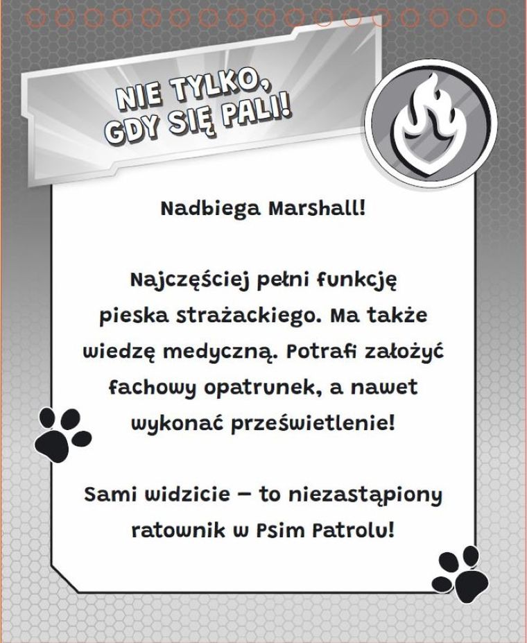 Razem weselej. Psi Patrol. Ulubione kolorowanki