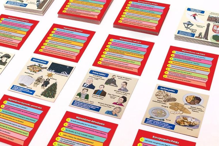 Rebel, Gra, Brainbox: Polska, gra edukacyjna