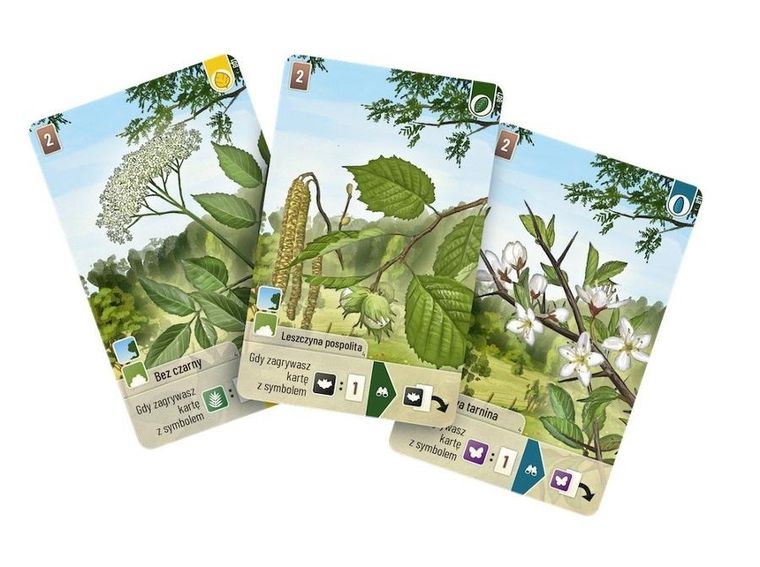 Rebel, Leśne rozdanie: Na skraju lasu, dodatek do gry