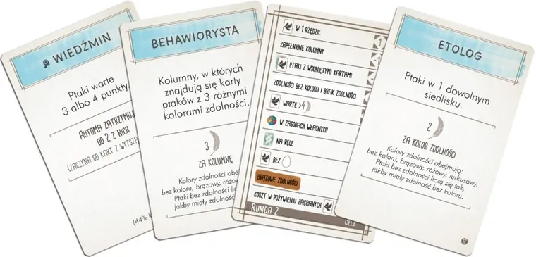 Rebel, Na skrzydłach: Ptaki Europy, gra familijna