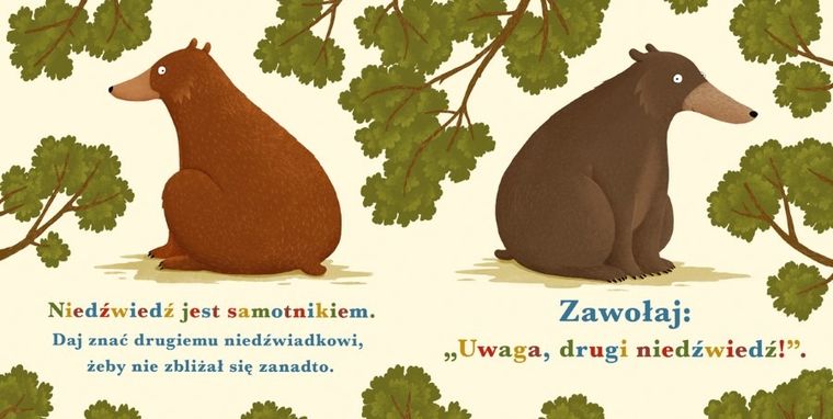 Rok w lesie. Niedźwiedź