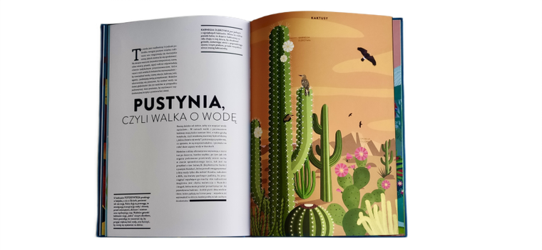 Rośliny. Cuda natury na wyjątkowych ażurowych rycinach