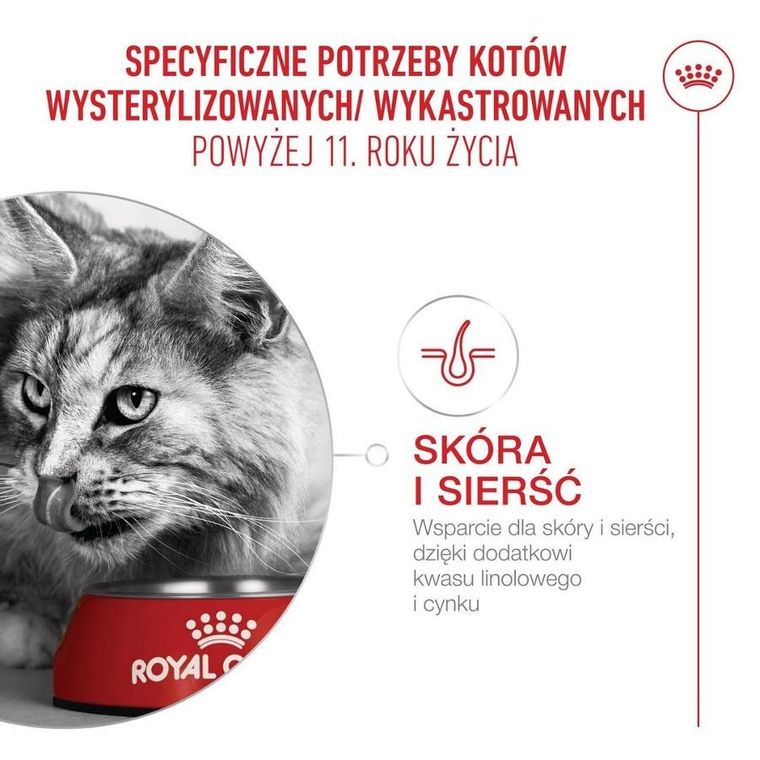 Royal Canin, FHN Cat Ageing Sterilised 11+, sucha karma dla kotów sterylizowanych, 4kg
