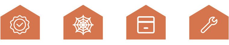 Ruhhy, pajęczyna świecąca w ciemności