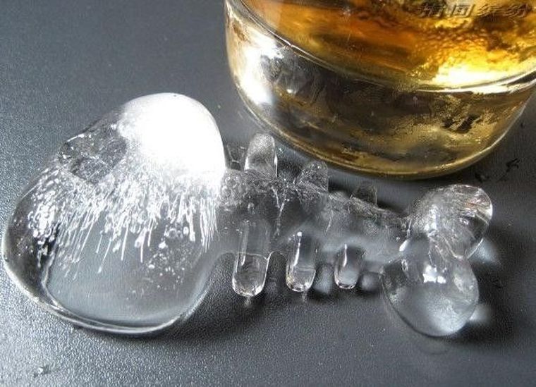 Rybki, foremka lodowa