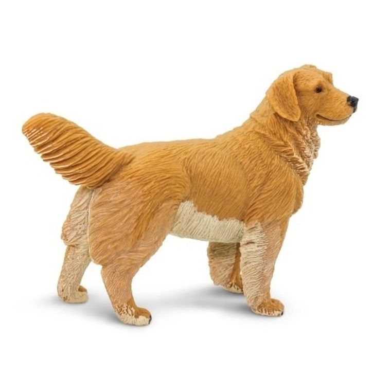 Safari Ltd, figurka, pies golden retriever