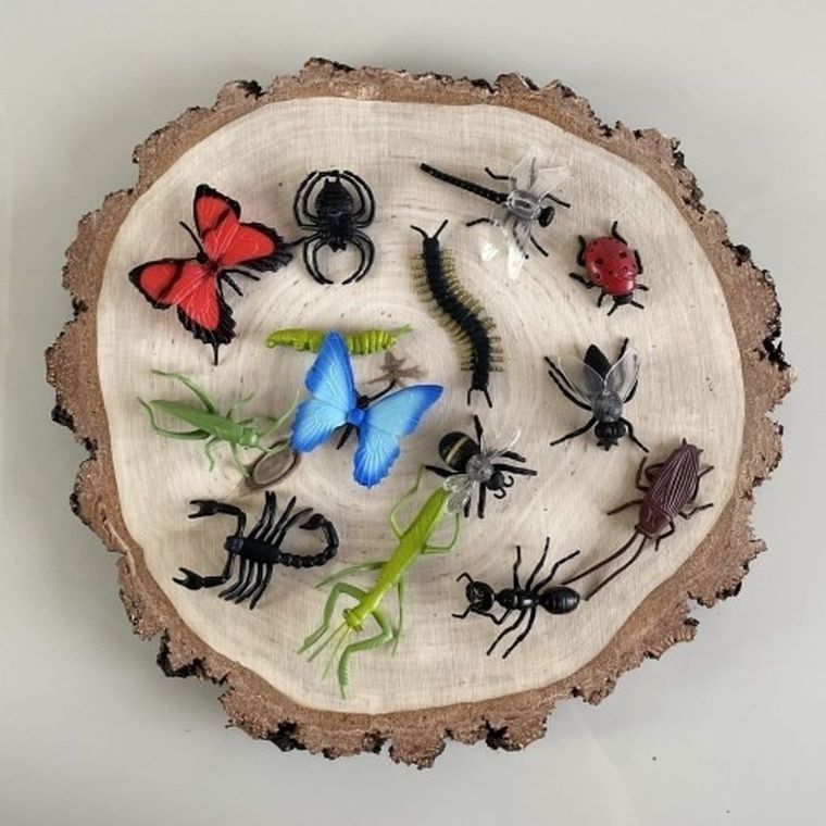 Safari Ltd, Toob, zestaw figurek, owady