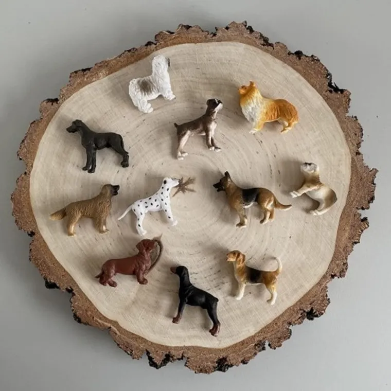 Safari Ltd, Toob, zestaw figurek, psy