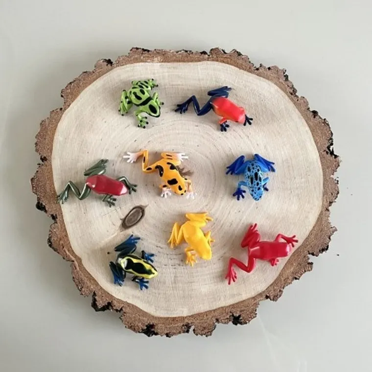 Safari Ltd, Toob, zestaw figurek, żaby trujące drzewołazy