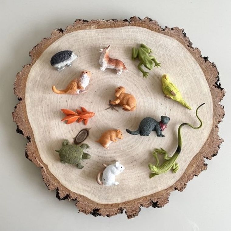 Safari Ltd, Toob, zestaw figurek, zwierzęta domowe